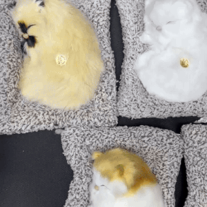 Sleeping Cat Plush Toy with Sound